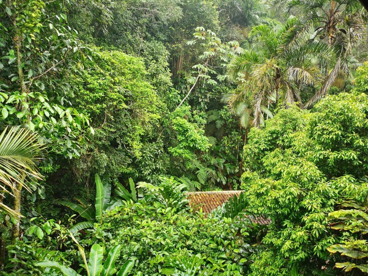 Trindade Sea And Forest Yoga Hostel المظهر الخارجي الصورة