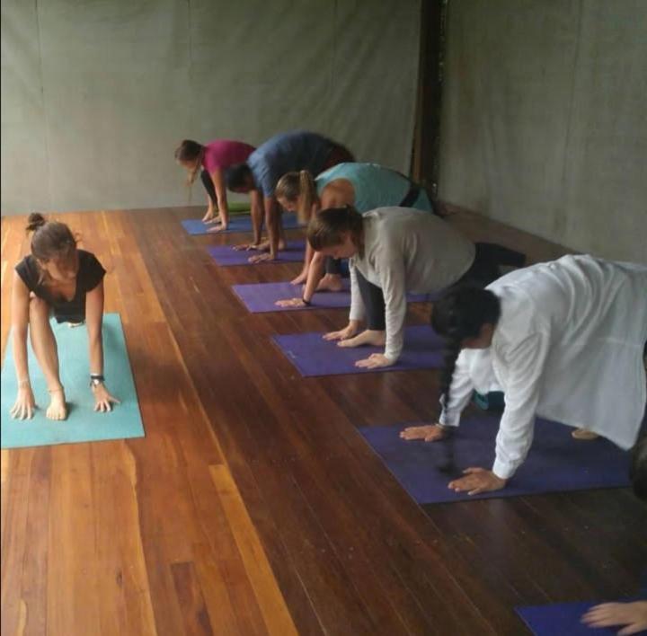 Trindade Sea And Forest Yoga Hostel المظهر الخارجي الصورة