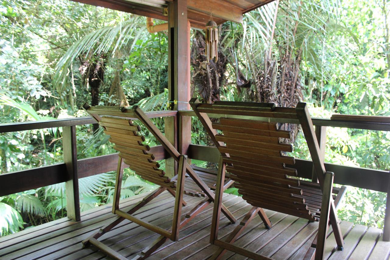 Trindade Sea And Forest Yoga Hostel المظهر الخارجي الصورة