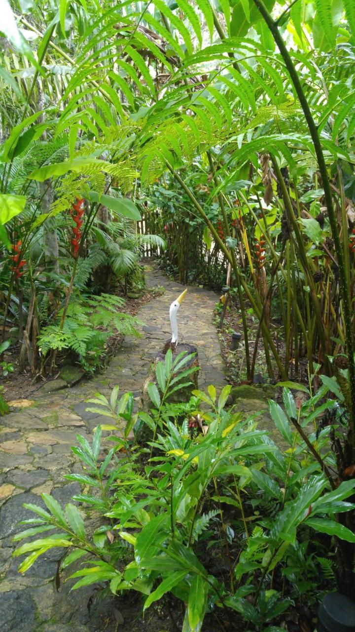Trindade Sea And Forest Yoga Hostel المظهر الخارجي الصورة